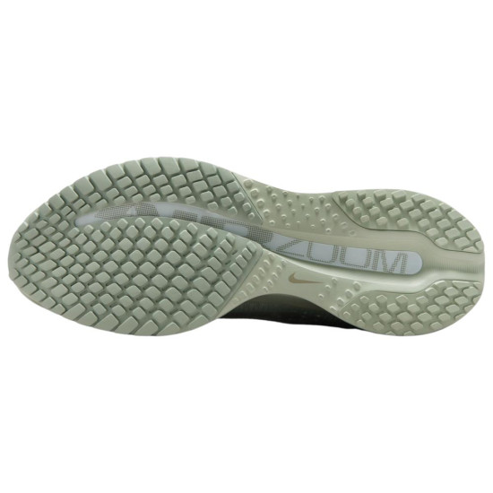 Nike Pegasus Premium Nike Pegasus Premium
